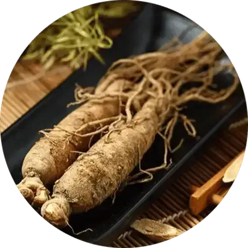 Panax Ginseng Extract 🌿