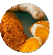 Turmeric Extract