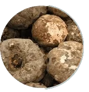 Konjac Extract Fiber
