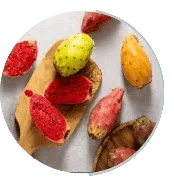 Prickly Pear Extract