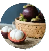 Mangosteen