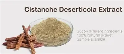 Cistanche Deserticola
