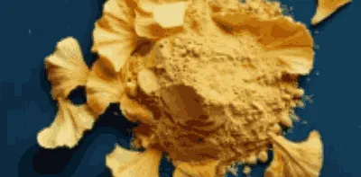 Ginkgo Biloba Powder