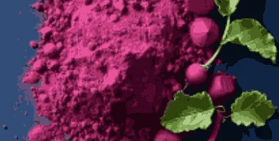 Beet Root Powder