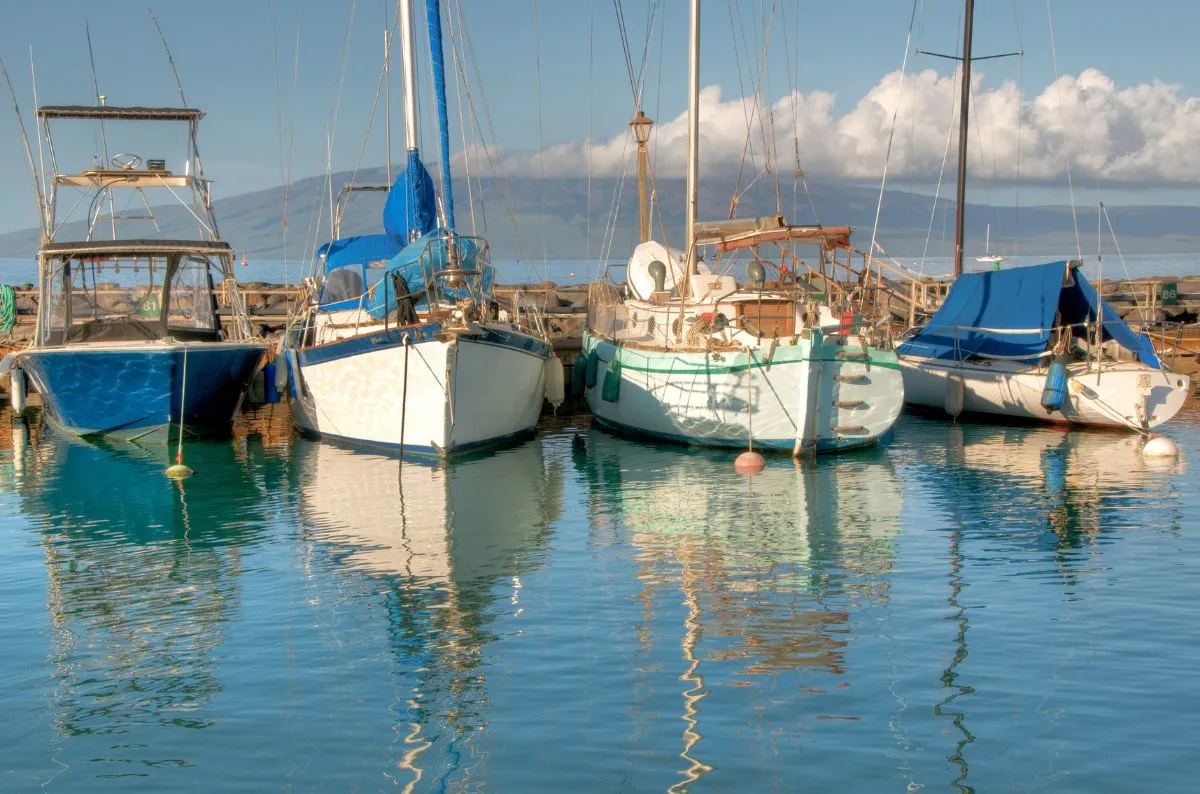 Boats resting calmly together in a harbour
