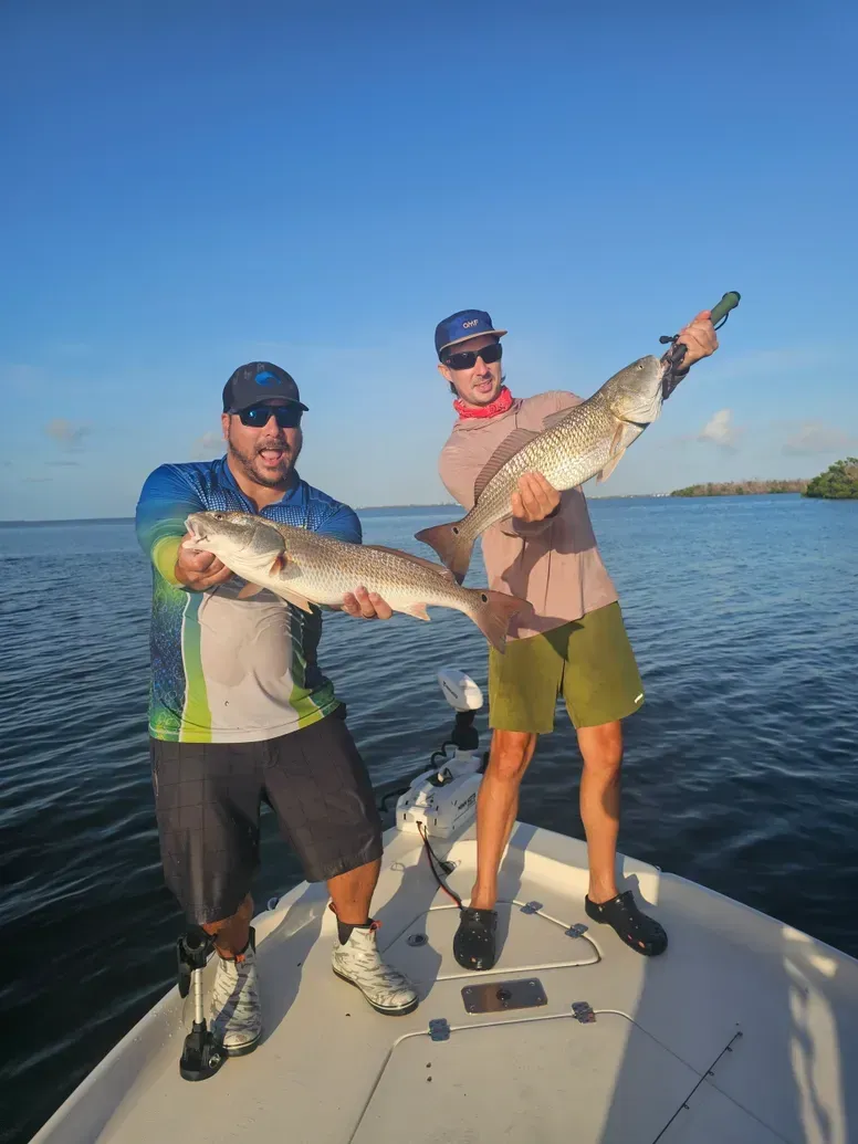 white and blue boats on sea during daytime