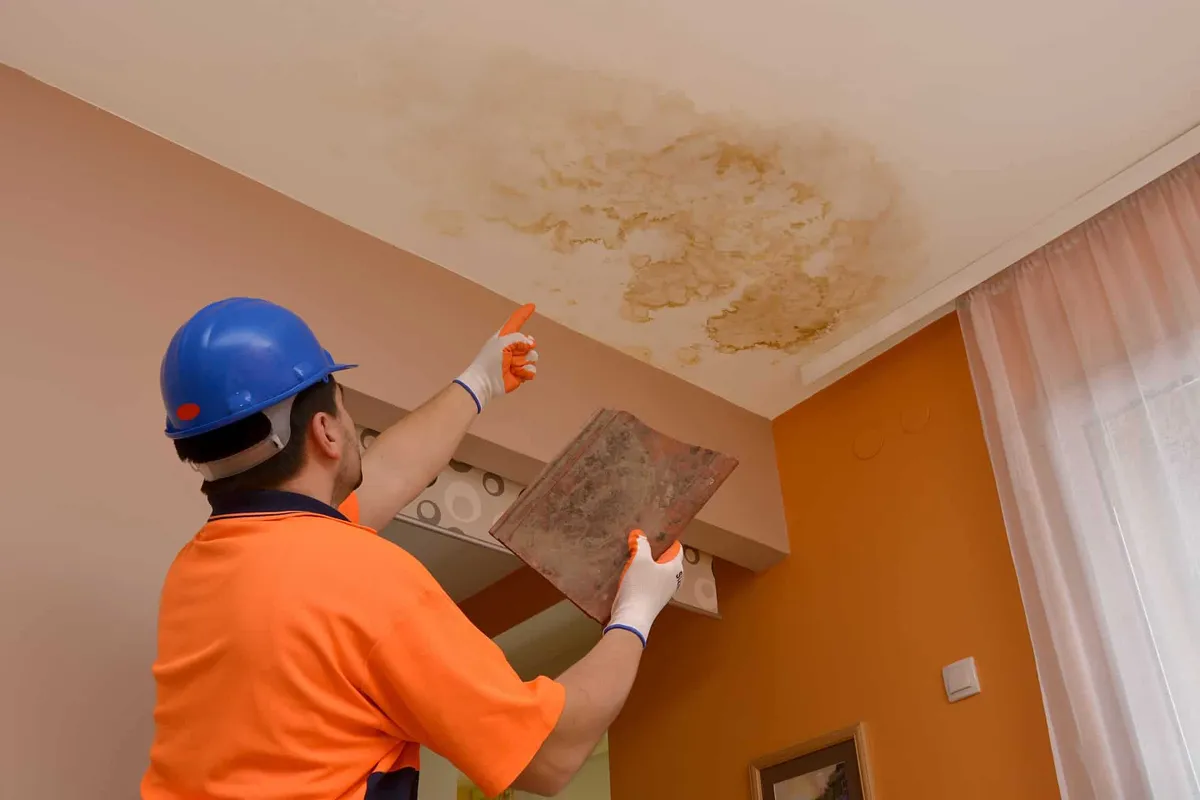 Roof Leak Repair in BC: Finding the Source & Cost | NuRoof