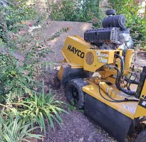 Stump Grinding Service in Houston, TX