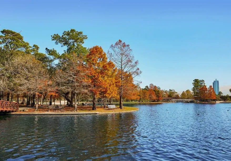 A serene park scene featuring a calm lake surrounded by vibrant autumn trees with orange and green foliage under a clear blue sky. The clean and tranquil environment reflects **True Cleaning Experts'** dedication to maintaining pristine spaces that enhance natural beauty and relaxation.