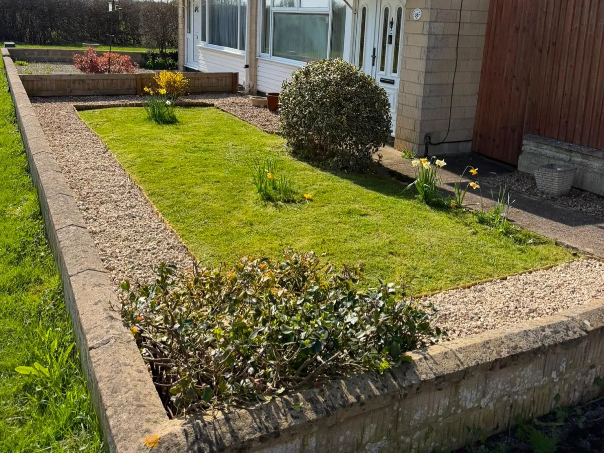 Garden after transformation with crisp lawn and planting