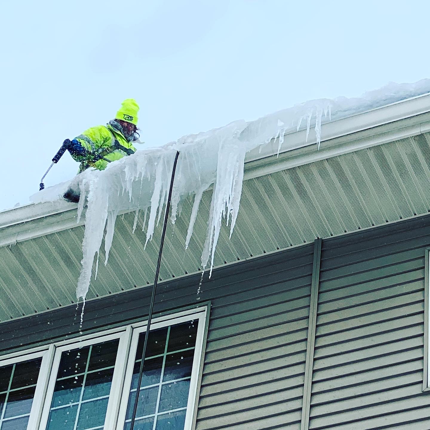 A bird sitting on top of a roof next to a building