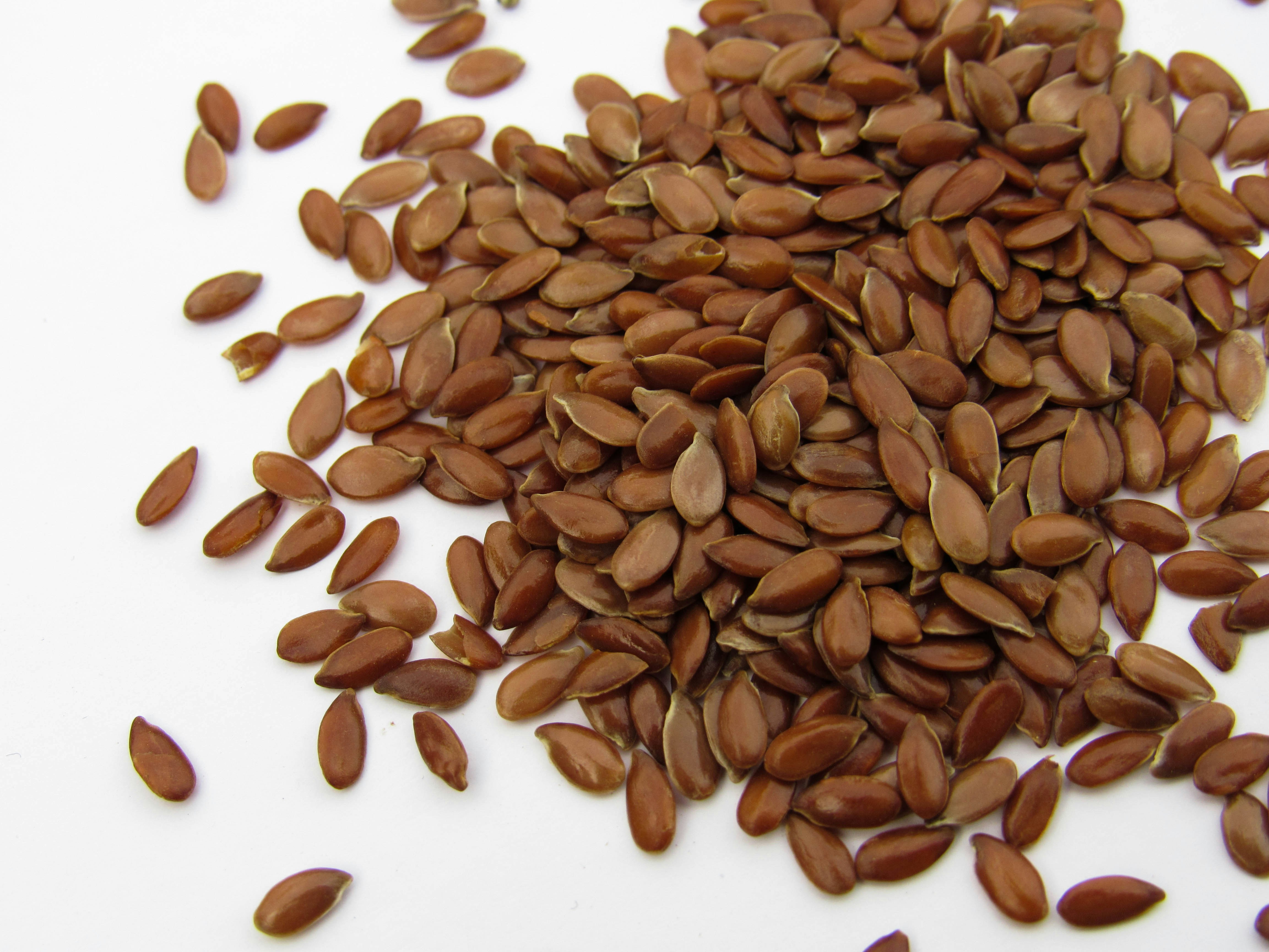 The Best Whole Food Fat Source