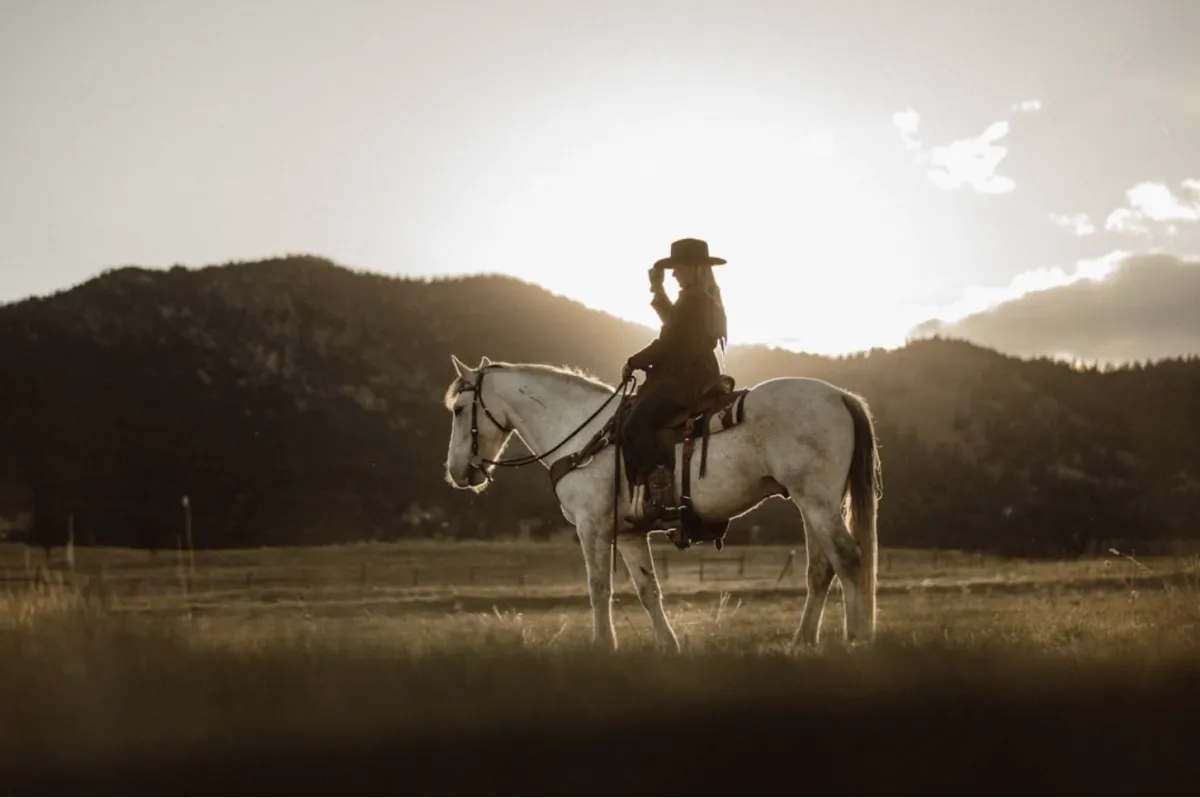 The Hidden Patterns Behind Horse Health