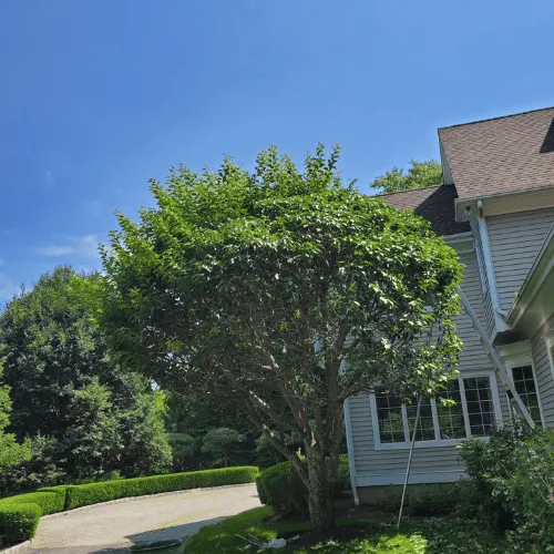 landscaping in Darien, connecticut