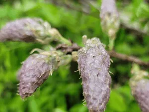 {{ custom_values.service_3 }} in {{custom_values.area_3})