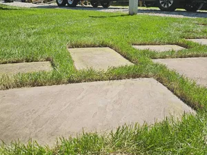 {{ custom_values.service_3 }} in {{custom_values.area_3})