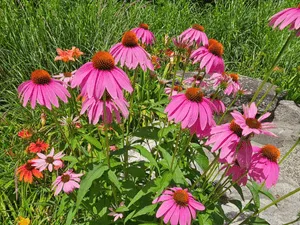 {{ custom_values.service_3 }} in {{custom_values.area_3})