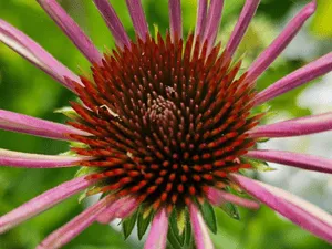 {{ custom_values.service_3 }} in {{custom_values.area_3})