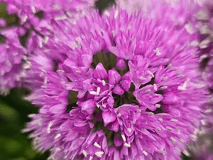 Spring clean ups in Westport, connecticut