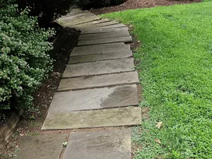 {{ custom_values.service_3 }} in {{custom_values.area_3})