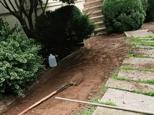 Trimming and pruning in Westport, connecticut