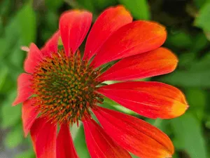 Spring clean ups in Darien, connecticut