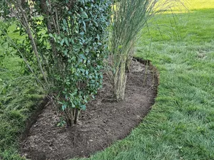 Fall clean up in Westport, connecticut