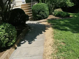 {{ custom_values.service_3 }} in {{custom_values.area_3})