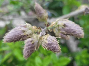 Maintenance in Westport, connecticut