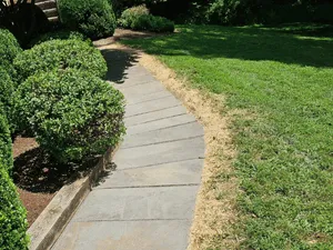 Mulch in Westport, connecticut