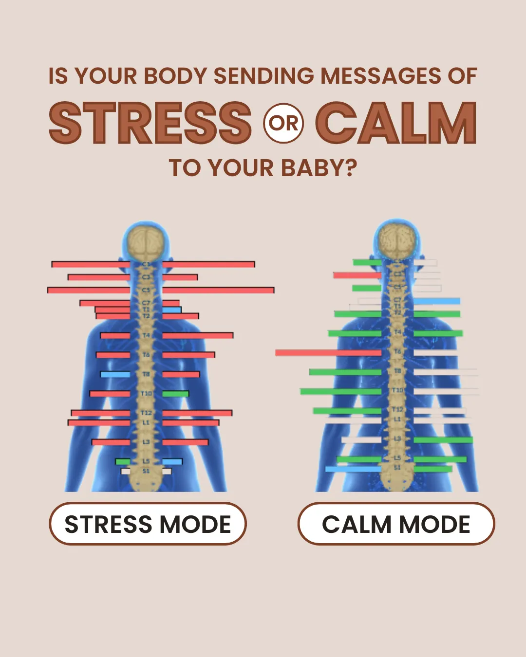 Don’t Miss This Test During Pregnancy