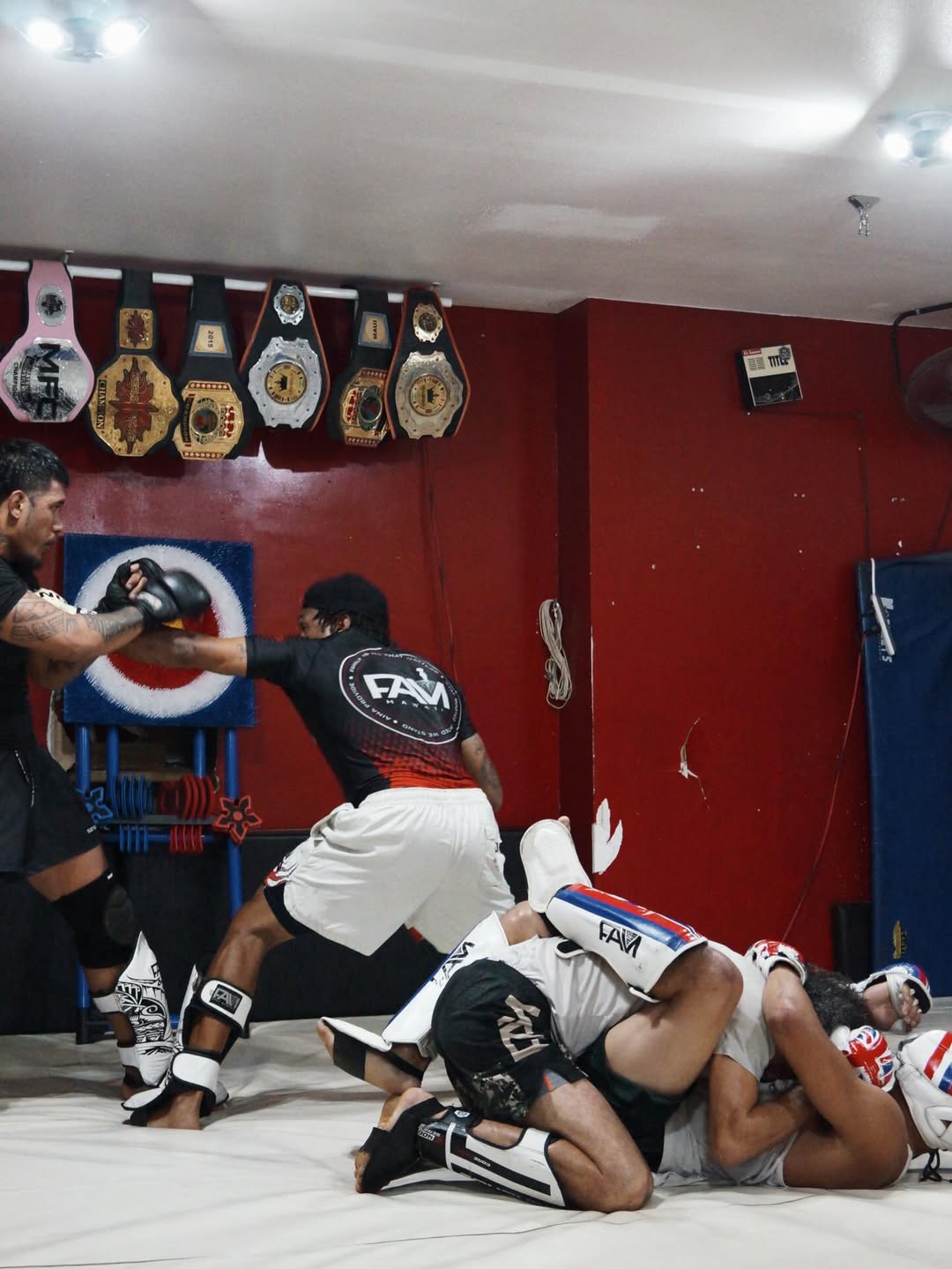 MMA Training