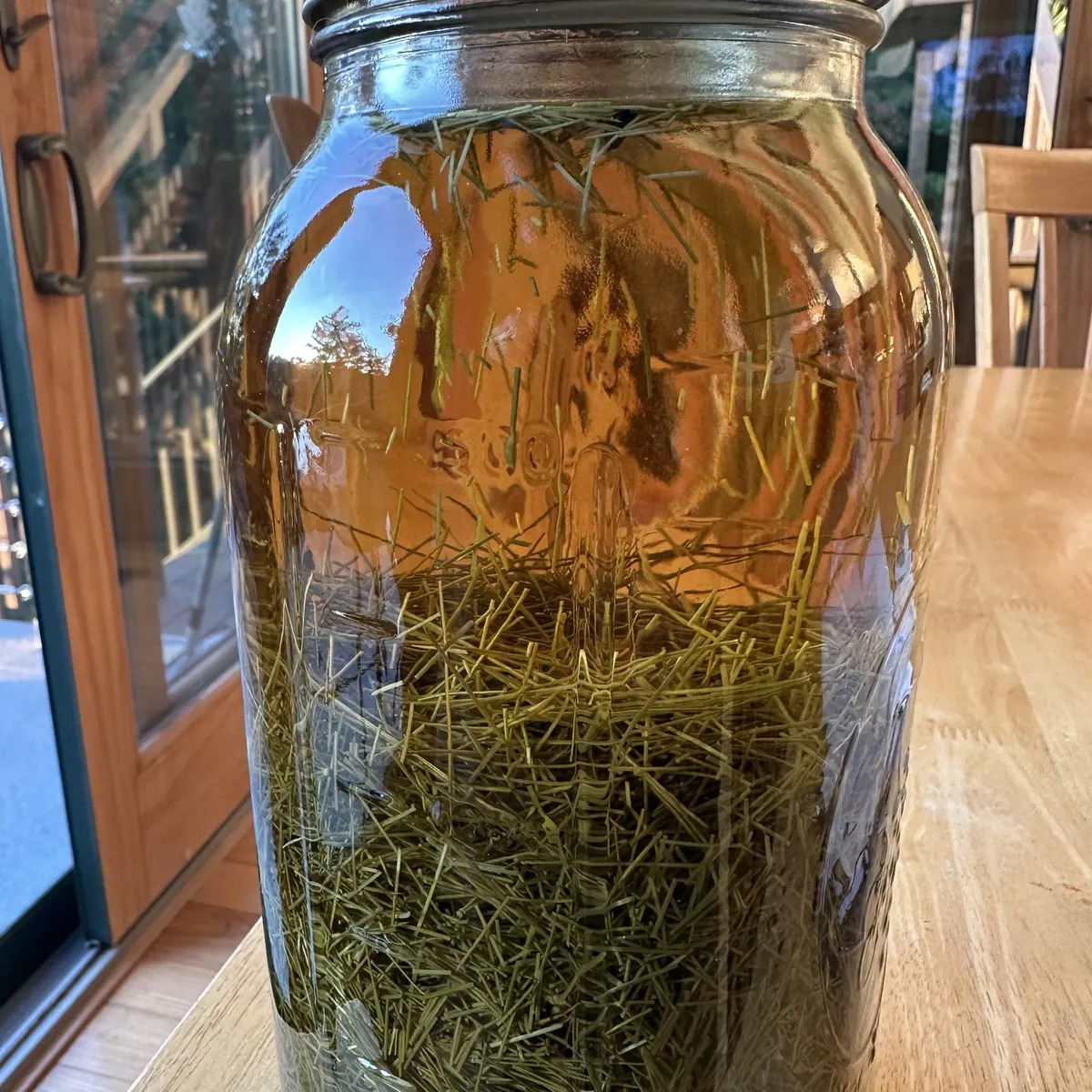 Large glass jar of white pine needles steeping in amber liquid on a wooden table