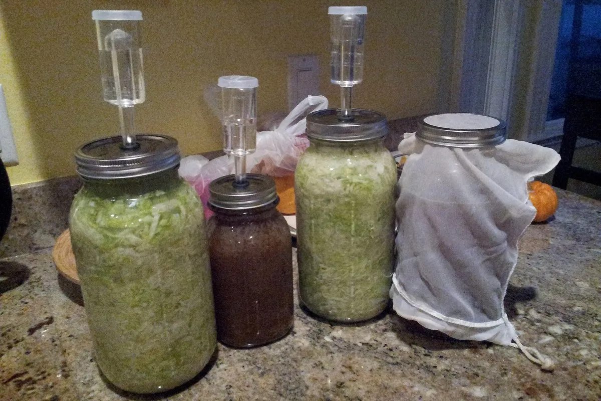 Beginner Vegetable Ferments 101: Sauerkraut & Kimchi Basics