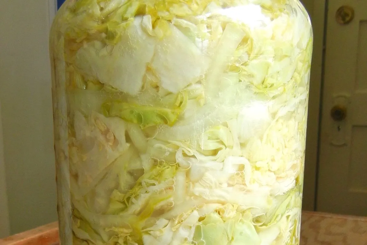 Classic Sauerkraut (Brassica oleracea): Quart Jar
