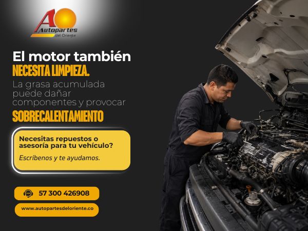 El motor también necesita limpieza: por qué la grasa acumulada puede causar fallas costosas