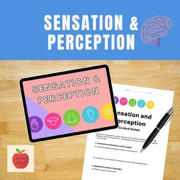 Preview of Psychology lesson: sensation  perception