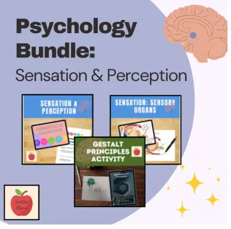 Preview of Psychology bundle: sensation and perception