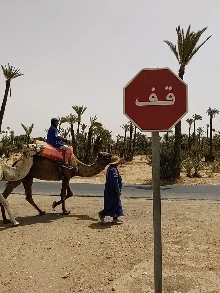 Pete on his camel 