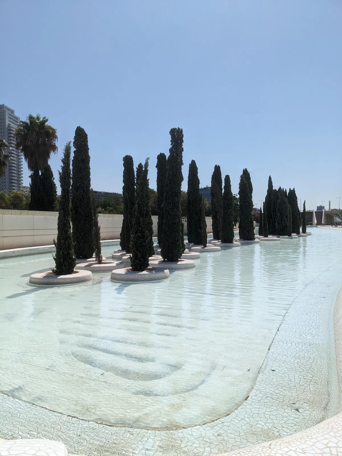 Trees at The City of Arts and Sciences