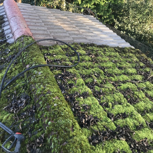 Worsley Roof Cleaning