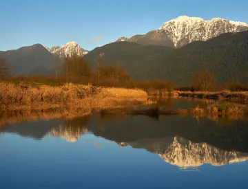 Pitt Meadows Sliding Doors