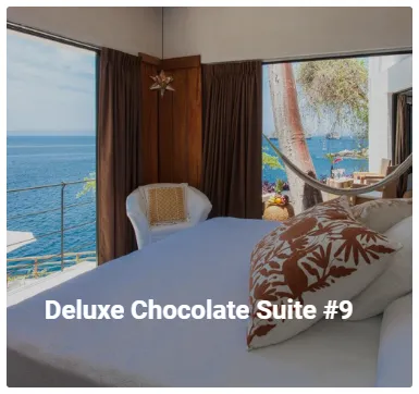 Vallarta Vitality Sleep Reset Retreat - Chocolate Suite