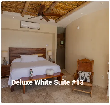 Vallarta Vitality Sleep Reset Retreat - White Suite