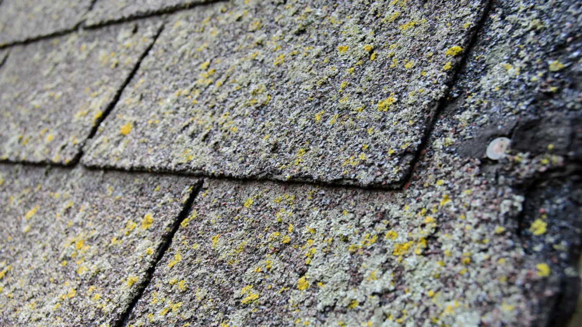 shingle roofing in Cape May County