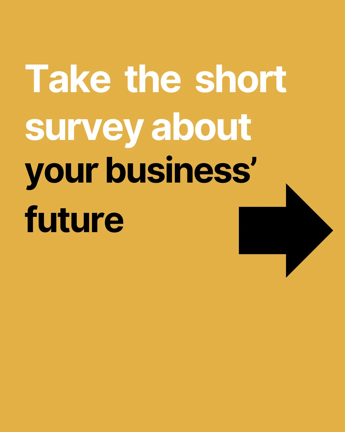 Local Business Search Survey