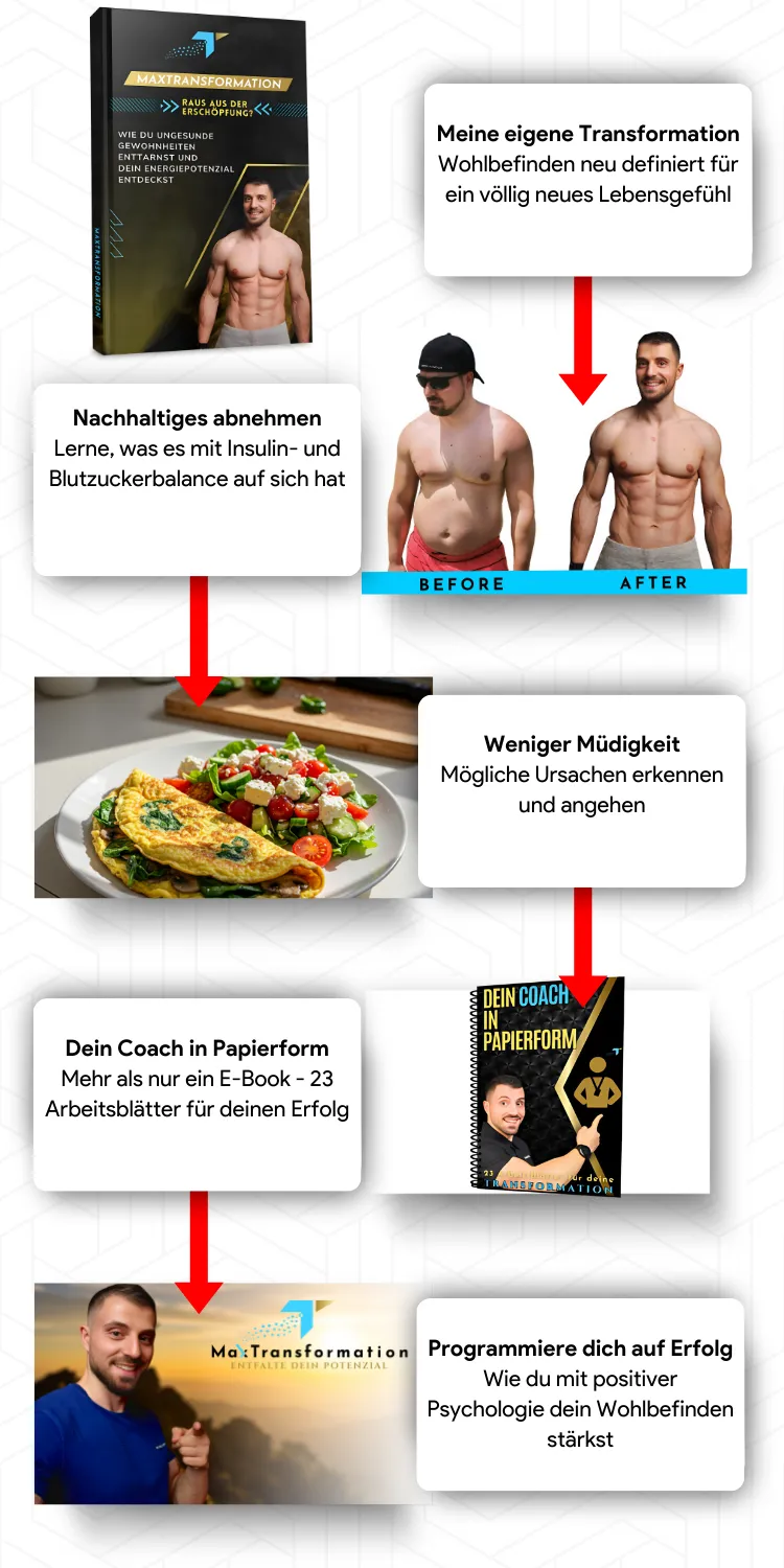 der Transformations Plan ablauf dargestellt
