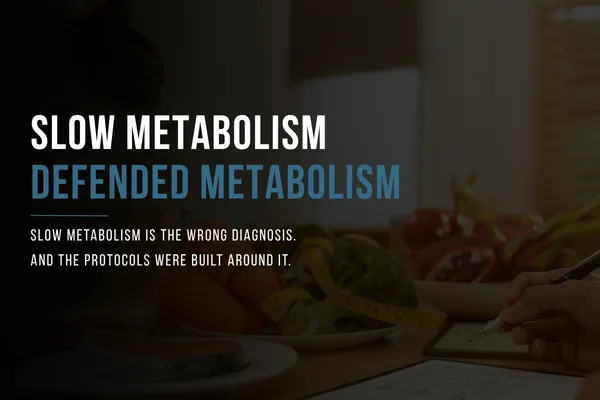 The Diet Industry Has Been Selling You the Wrong Problem