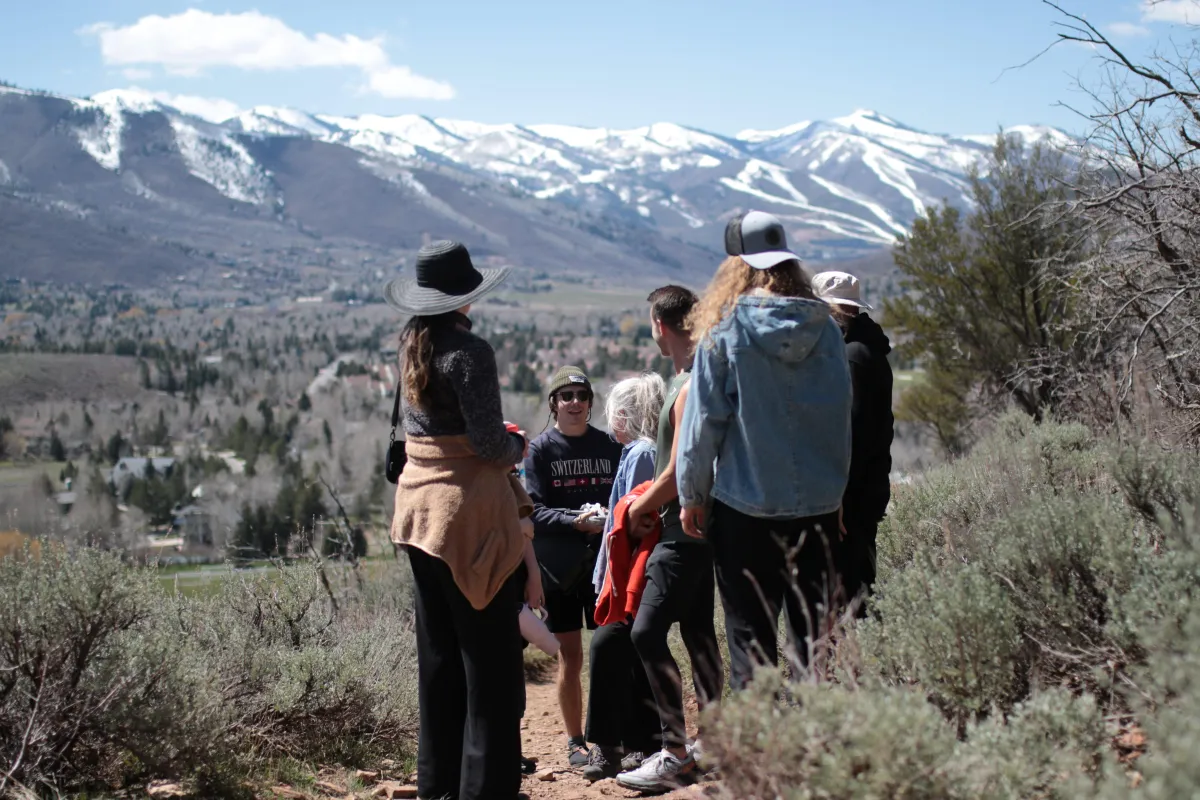 woman holding brown umbrella