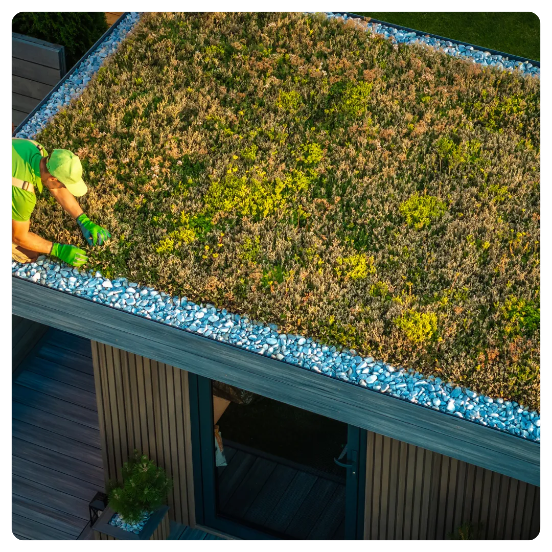Groendak met groene vegetatie en waterdicht membraan op een plat dak